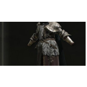 《艾尔登法环》盔甲太重了解决方法