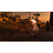 《对马岛之魂导演剪辑版》a卡闪退解决方法