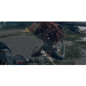 《艾尔登法环》狮子混种打法介绍