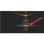 《艾尔登法环》运镜表现关闭方法