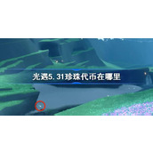 光遇5.31珍珠代币在哪里 光遇5月31日自然日代币收集攻略