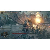 《艾尔登法环》引导之始旁边的龙介绍