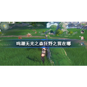鸣潮无光之森狂野之猩在哪 鸣潮狂野之猩位置介绍