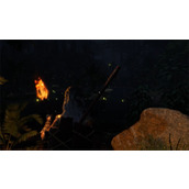 《灵魂面甲》萤火虫获取方法