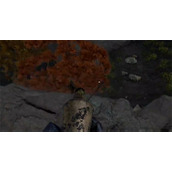 《灵魂面甲》鸵鸟获取方法