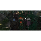 《灵魂面甲》丛林豹幼崽捕捉方法