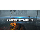 《灵魂面甲》厚皮躯干块获得方法