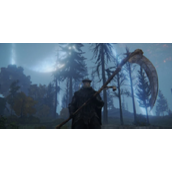 《艾尔登法环》八周目是上限原因