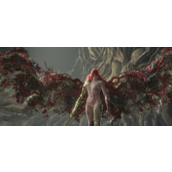 《艾尔登法环》女武神难度评级