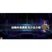 《动物井》逃离鸵鸟方法介绍