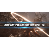 《黑神话悟空》豪华版和普通版区别一览