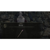 《艾尔登法环》陨石杖拿了看不见解决方法