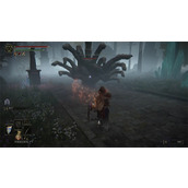 《艾尔登法环》小怪不打影响说明