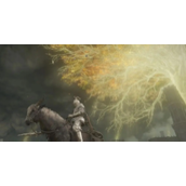 《艾尔登法环》不出对话框解决方法