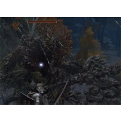 《艾尔登法环》打腐败怪属性推荐