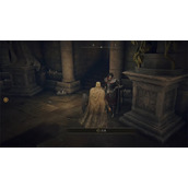 《艾尔登法环》腐败苔药制作方法