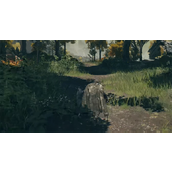 《艾尔登法环》战灰携带数量说明