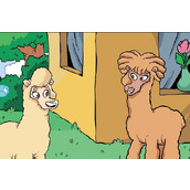 《羊驼想知道为什么》无法打开解决方法