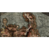 《艾尔登法环》新手老龙前往方法