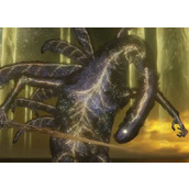 《艾尔登法环》艾尔登兽攻略