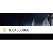 《艾尔登法环》读取以前的存档方法介绍