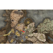 《艾尔登法环》dlc巫者村收集攻略