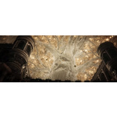 《艾尔登法环》dlc死骑士位置介绍