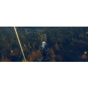 《艾尔登法环》落叶丹恩BOSS介绍