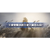 王者荣耀决战王者之巅怎么玩