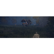 《艾尔登法环》啜泣半岛死之鸟BOSS介绍