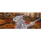 《艾尔登法环》亚坛高原黑刀刺客BOSS介绍