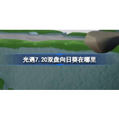 光遇7.20双盘向日葵在哪里 光遇7月20日有友节代币收集攻略