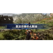 昆法尔有什么职业