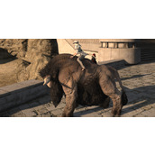 《ff14》海岛水牛坐骑获得方法