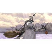 《ff14》魔女扫帚坐骑获得方法