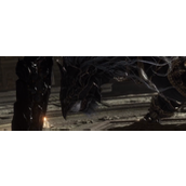 《艾尔登法环》黑剑玛利喀斯BOSS介绍