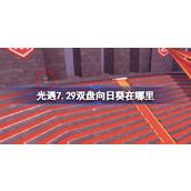 光遇7.29双盘向日葵在哪里 光遇7月29日有友节代币收集攻略