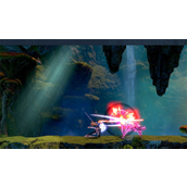 《边境猎人 艾尔莎的命运之轮》游戏类型介绍