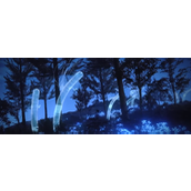 《艾尔登法环》幽影树庇佑具体效果介绍