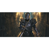 《上古卷轴OL高岛》高岛和黑木购买建议