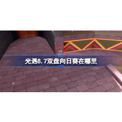 光遇8.7双盘向日葵在哪里 光遇8月7日有友节代币收集攻略