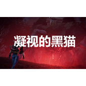 《七日世界》凝视的黑猫获取方法