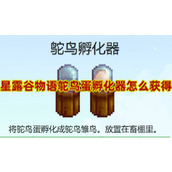 星露谷物语鸵鸟蛋孵化器怎么得