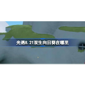 光遇8.21双生向日葵在哪里 光遇8月21日有友节代币收集攻略