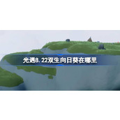 光遇8.22双生向日葵在哪里 光遇8月22日有友节代币收集攻略