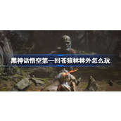 黑神话悟空第一回苍狼林林外怎么玩