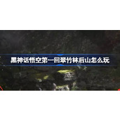 黑神话悟空第一回翠竹林后山怎么玩
