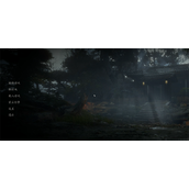 《黑神话悟空》是否能开两个存档说明