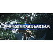 黑神话悟空第四回黄花观金光苑怎么玩