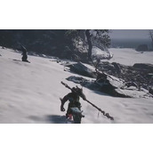 《黑神话悟空》无量蝠不触发原因介绍